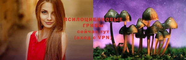 трава Арсеньев