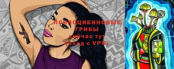 трава Арсеньев