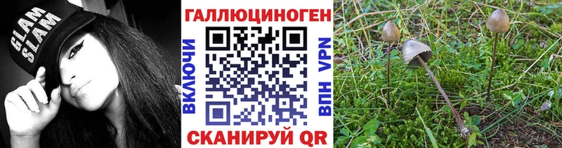 Купить  Зуевка  Галлюциногенные грибы мицелий 